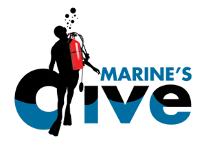 MARINES DIVE LOGO Small